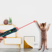 Person using a laser pointer toy with a cat playing with it indoors.